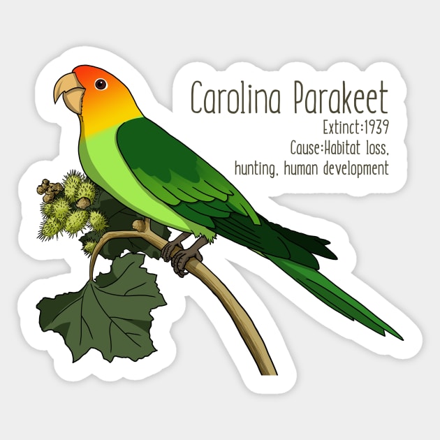 Extinct Species: Carolina Parakeet Sticker by Feathered Focus